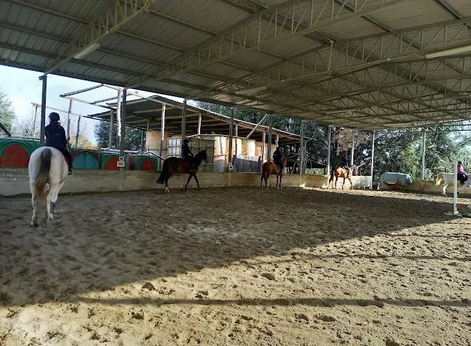 Apartment La Rocca *